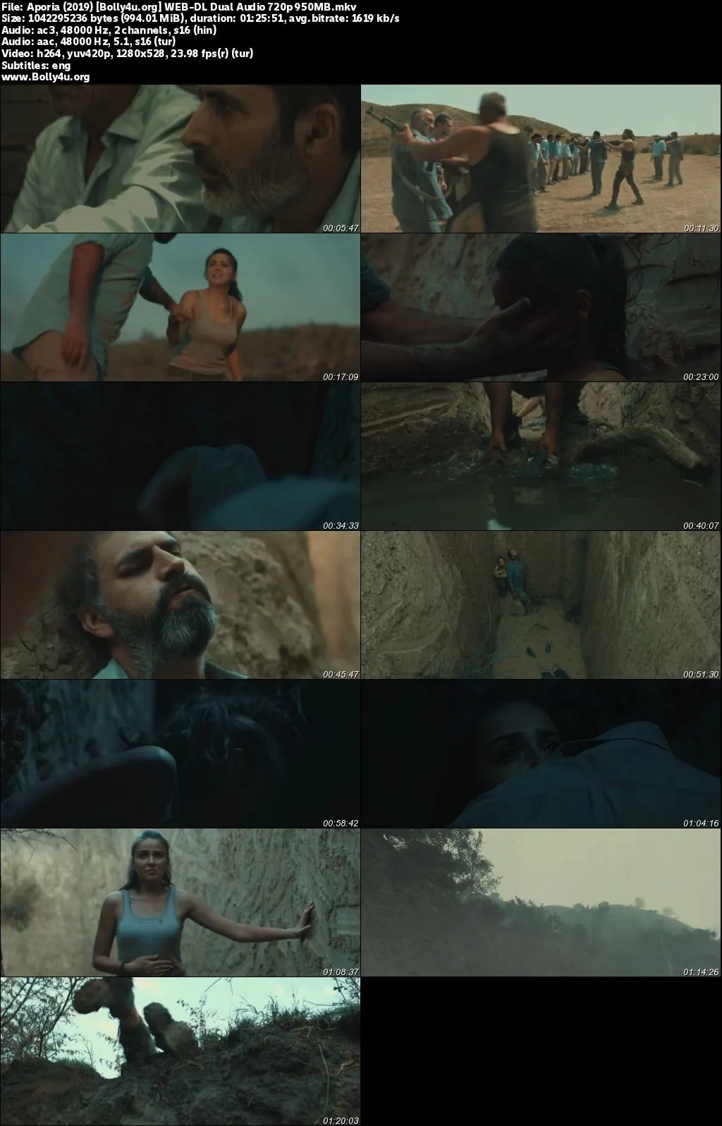 Aporia 2019 WEB-DL Hindi Dual Audio Full Movie Download 720p  480p