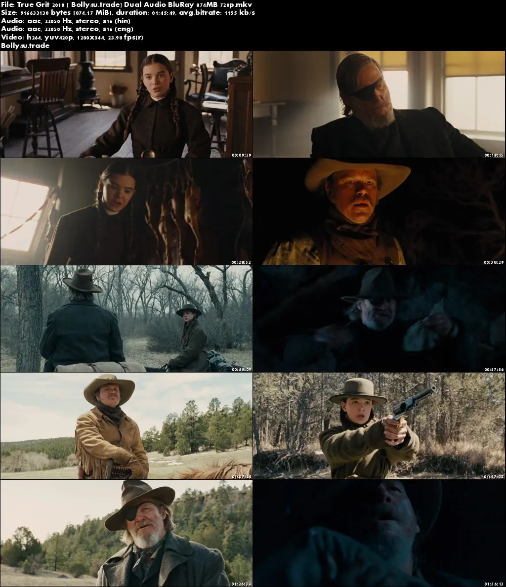 True Grit 2010 BluRay 850MB Full Hindi Dual Audio Movie Download 720p