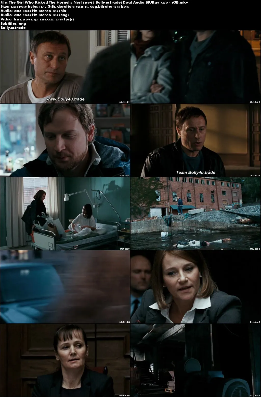 The Girl Who Kicked The Hornets Nest 2009 BRRip Hindi Dual Audio 720p Download