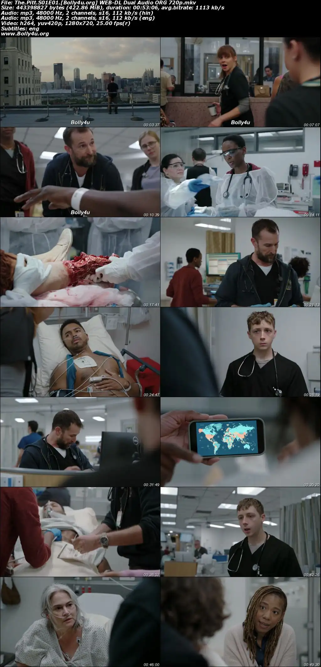 The Pitt 2024 WEB-DL Hindi Dual Audio ORG S01 Complete Download 720p