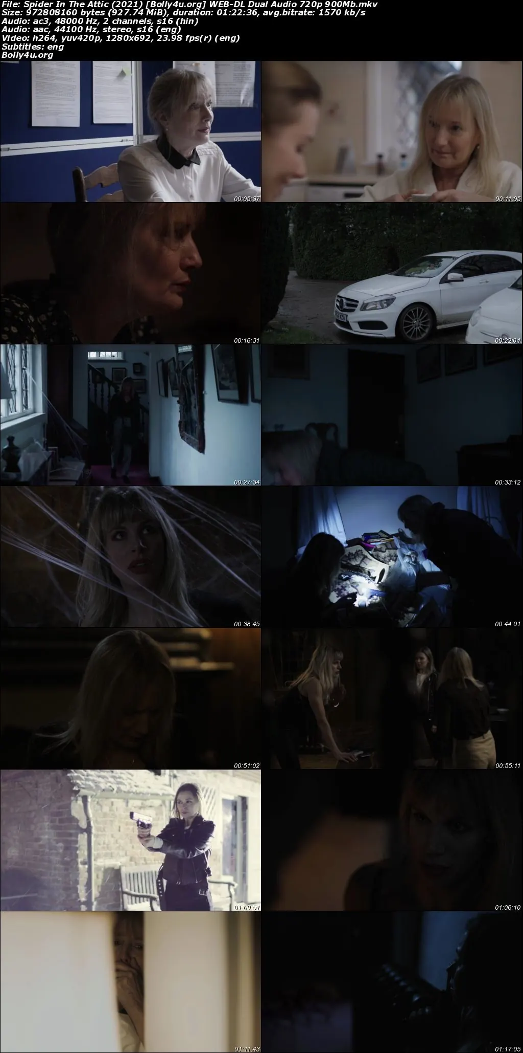 Spider In The Attic 2021 WEB-DL Hindi Dual Audio Full Movie Download 720p  480p