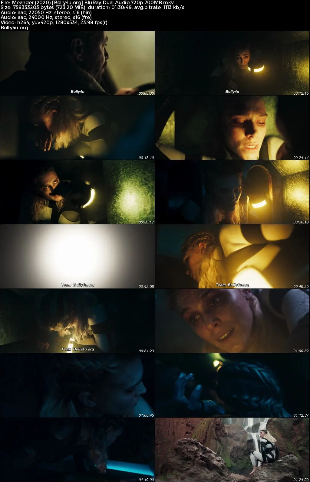 Meander 2020 BluRay Hindi Dual Audio ORG Full Movie Download 1080p  720p  480p