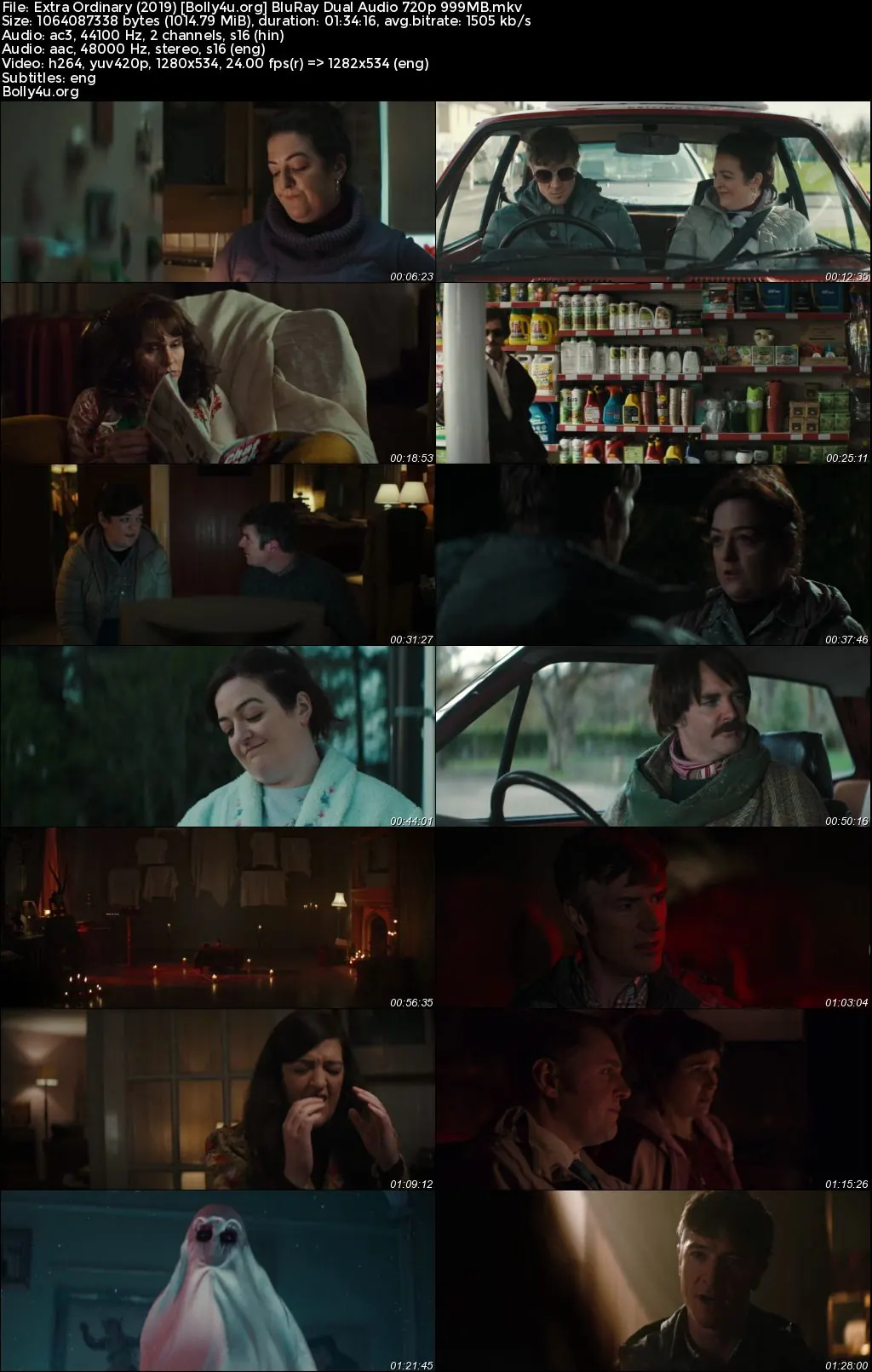 Extra Ordinary 2019 BluRay Hindi Dual Audio Full Movie Download 720p  480p