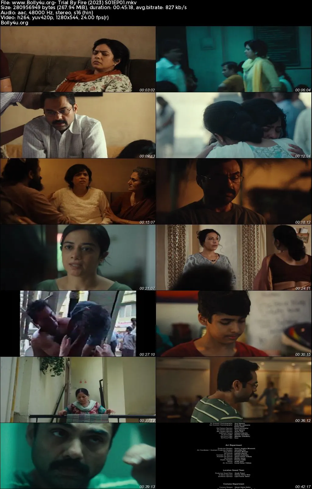 Trial By Fire 2023 WEB-DL Hindi S01 Complete Download 720p  480p