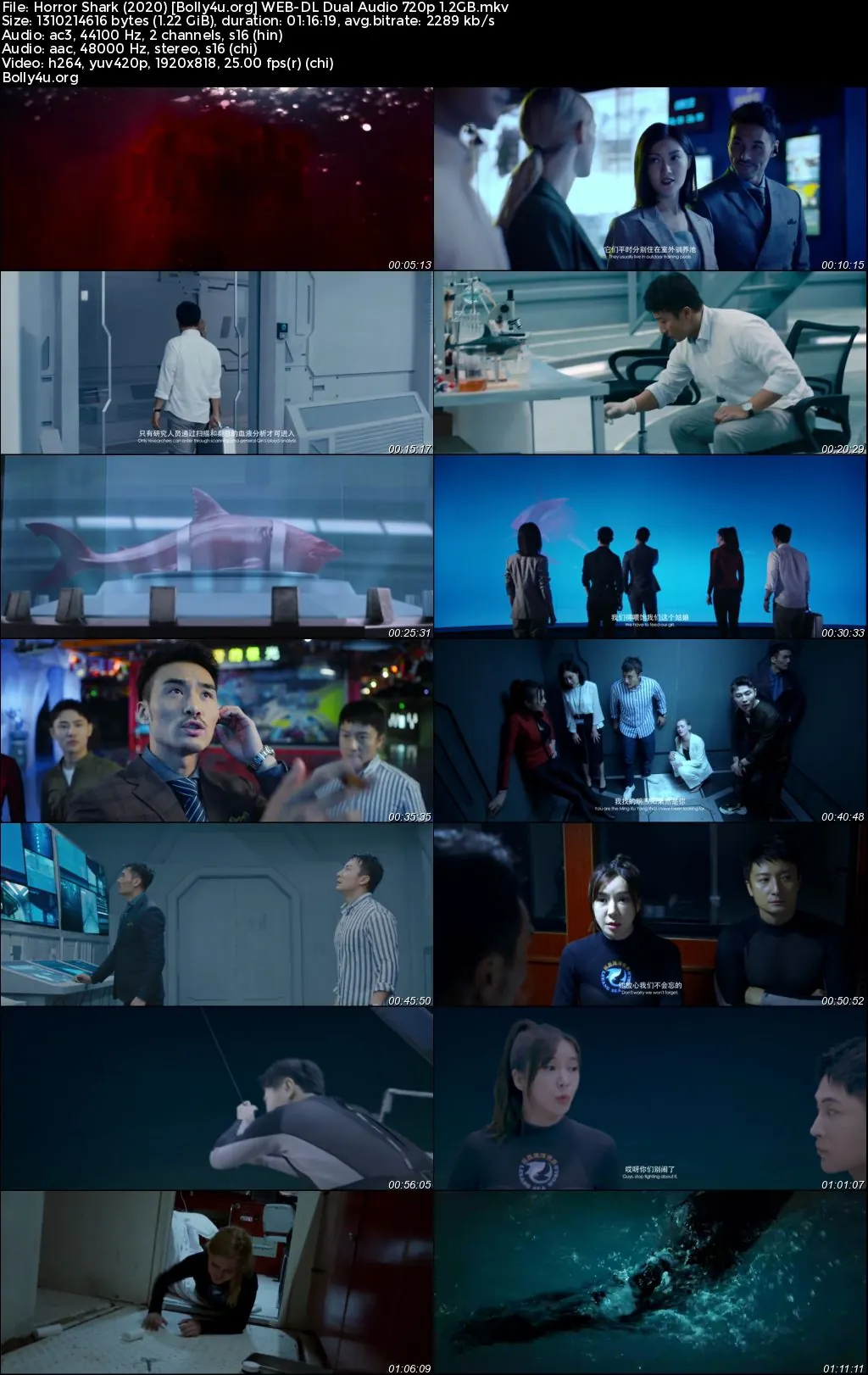 Horror Shark 2020 WEB-DL Hindi Dual Audio Full Movie Download 720p  480p
