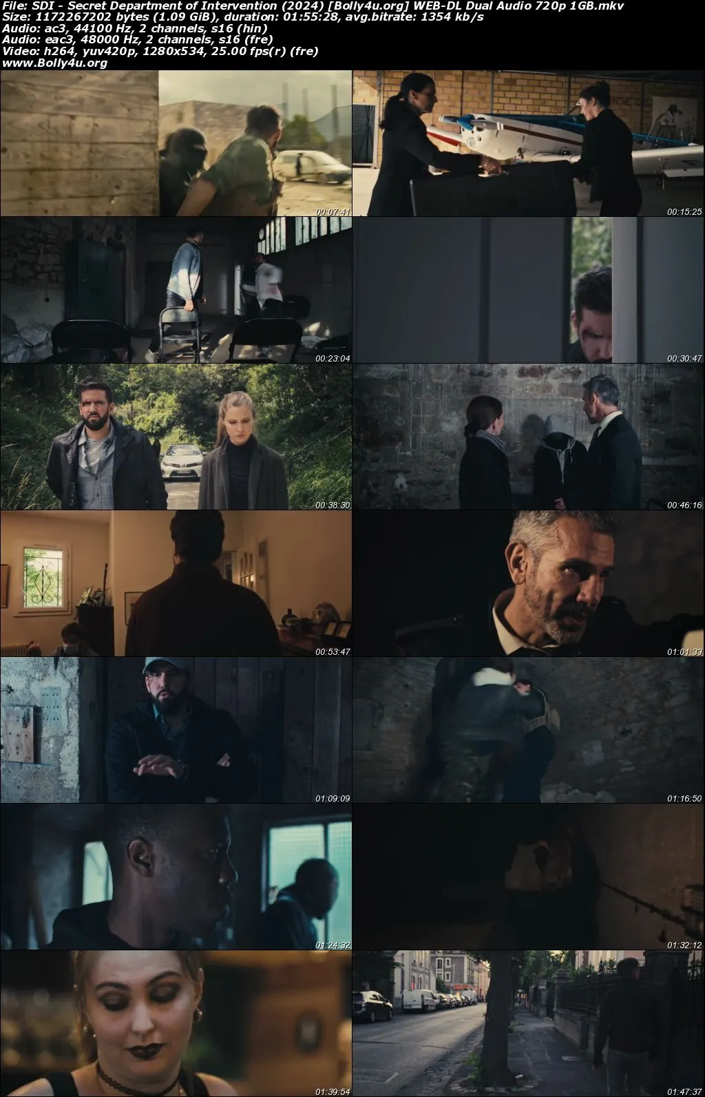 SDI Secret Department of Intervention 2024 WEB-DL Hindi Dual Audio Full Movie Download 720p  480p