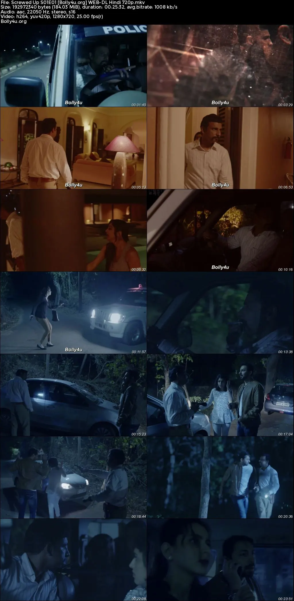 Screwed Up 2023 WEB-DL Hindi S01 Complete Download 720p  480p