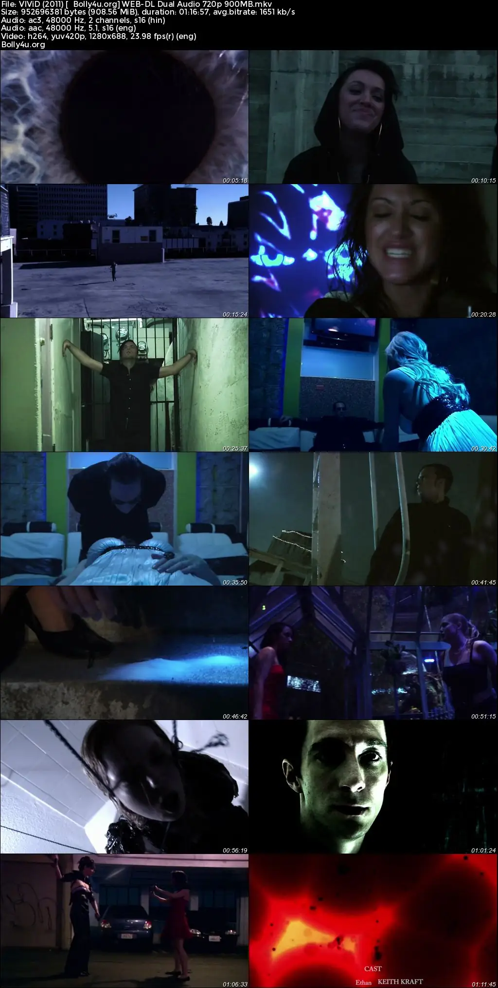 VIViD 2011 WEB-DL Hindi Dual Audio Full Movie Download 720p  480p