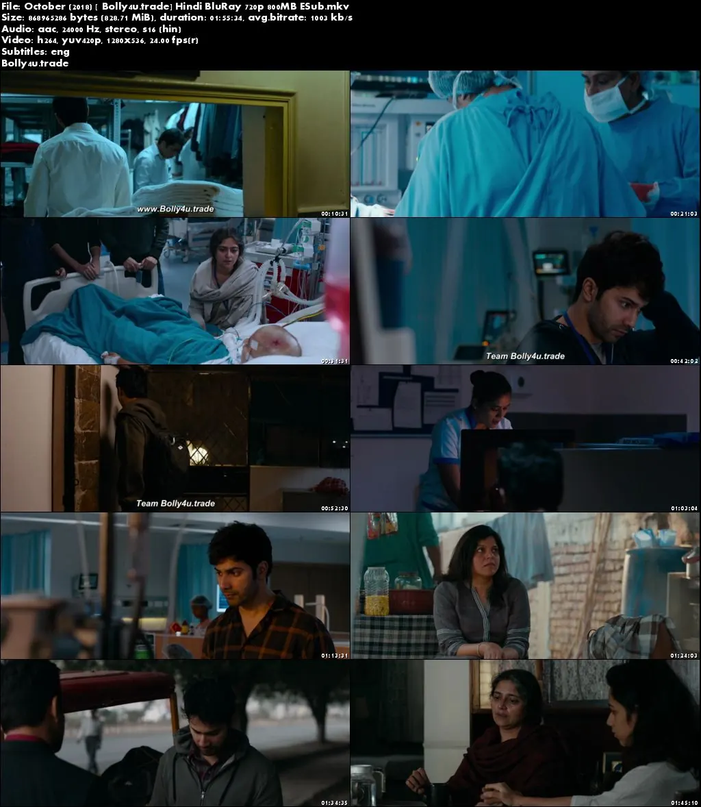 October 2018 BluRay 800Mb Full Hindi Movie Download 720p ESub