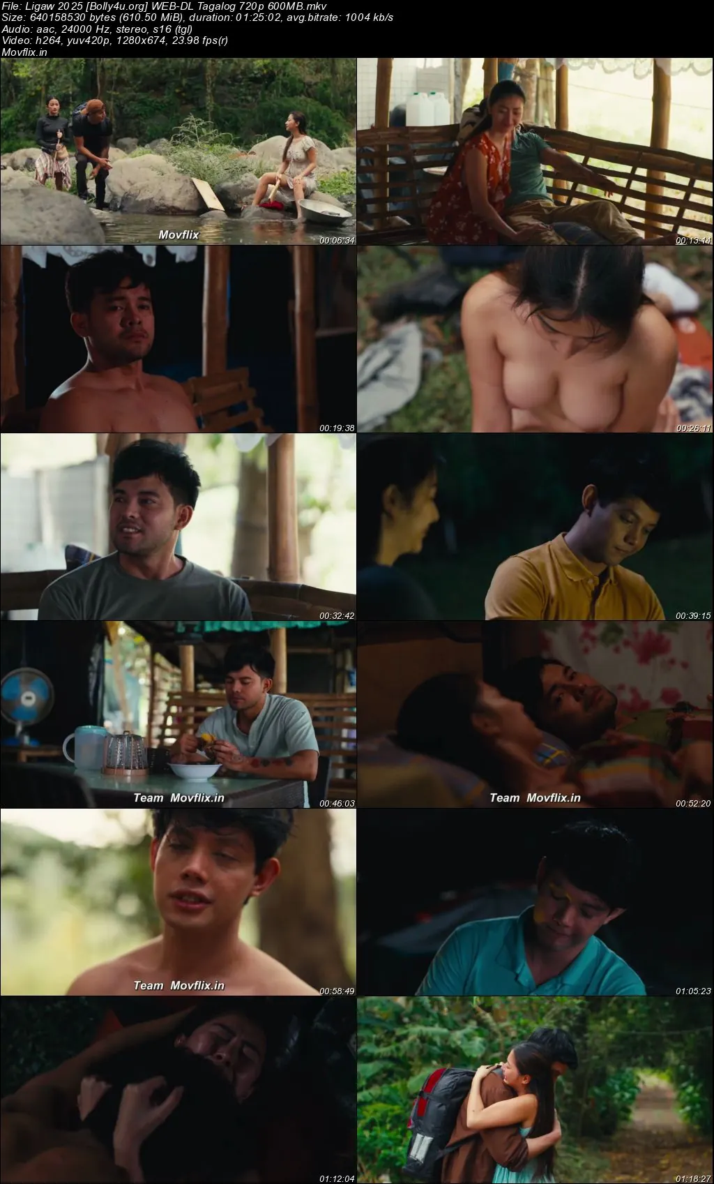 Ligaw 2025 WEB-DL Tagalog Full Movie Download 720p  480p