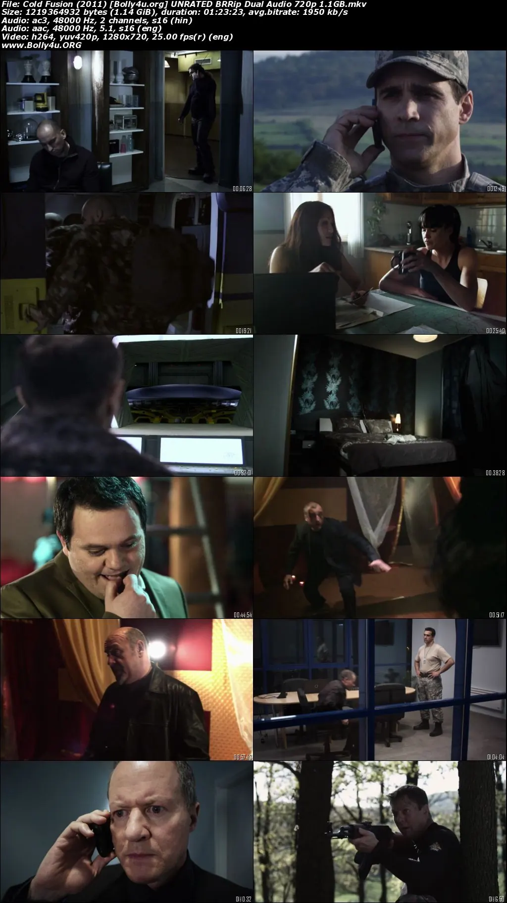 Cold Fusion 2011 BRRip UNRATED Hindi Dual Audio 720p 480p Download