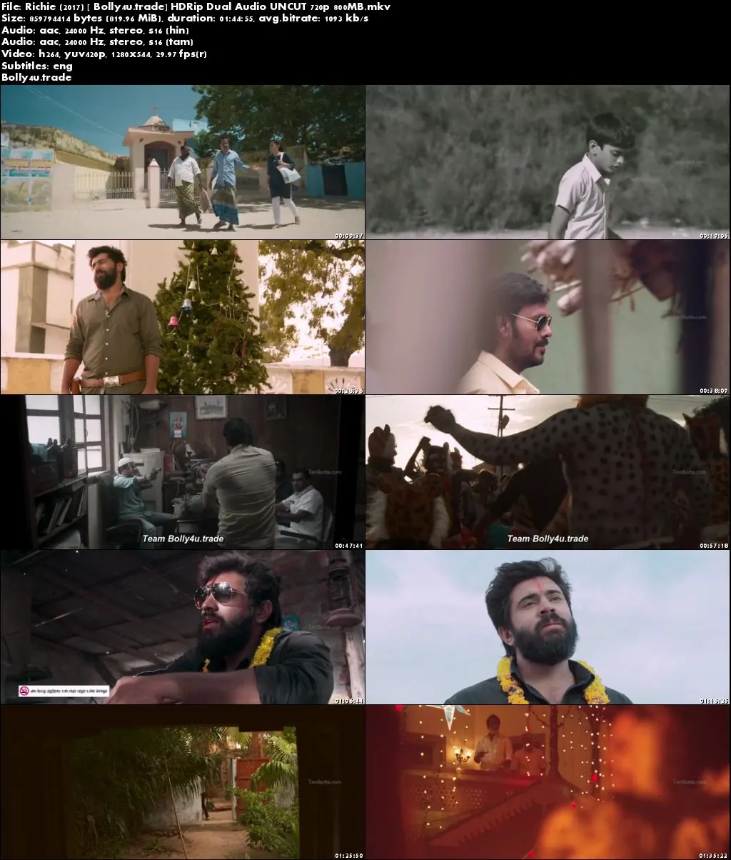 Richie 2017 HDRip 350Mb UNCUT Hindi Dual Audio 480p Download Richie 2017 HDRip 350Mb UNCUT Hindi Dual Audio 480p Download