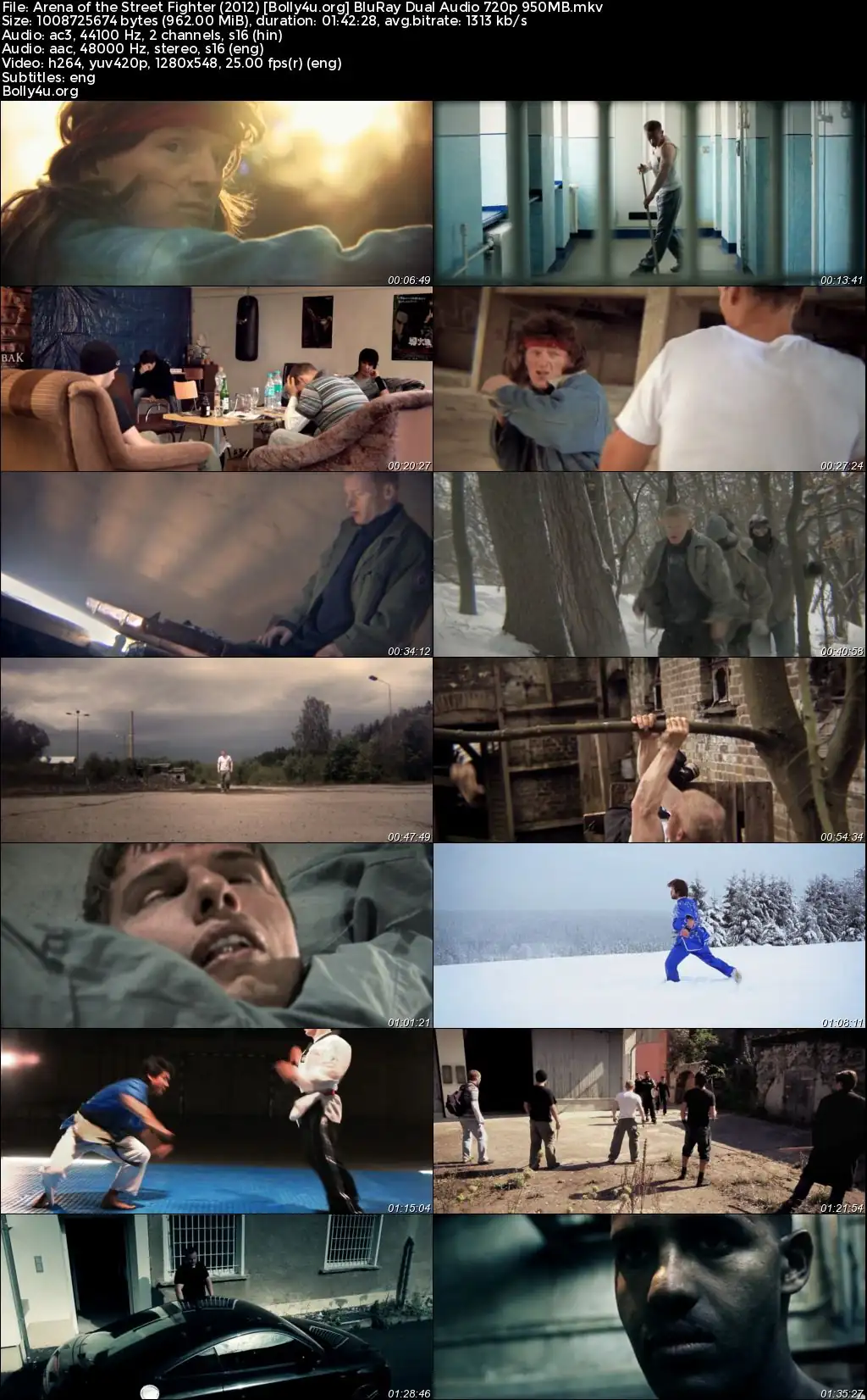 Arena of the Street Fighter 2012 BluRay Hindi Dual Audio Full Movie Download 720p 480p Arena of the Street Fighter 2012 BluRay Hindi Dual Audio Full Movie Download 720p 480p