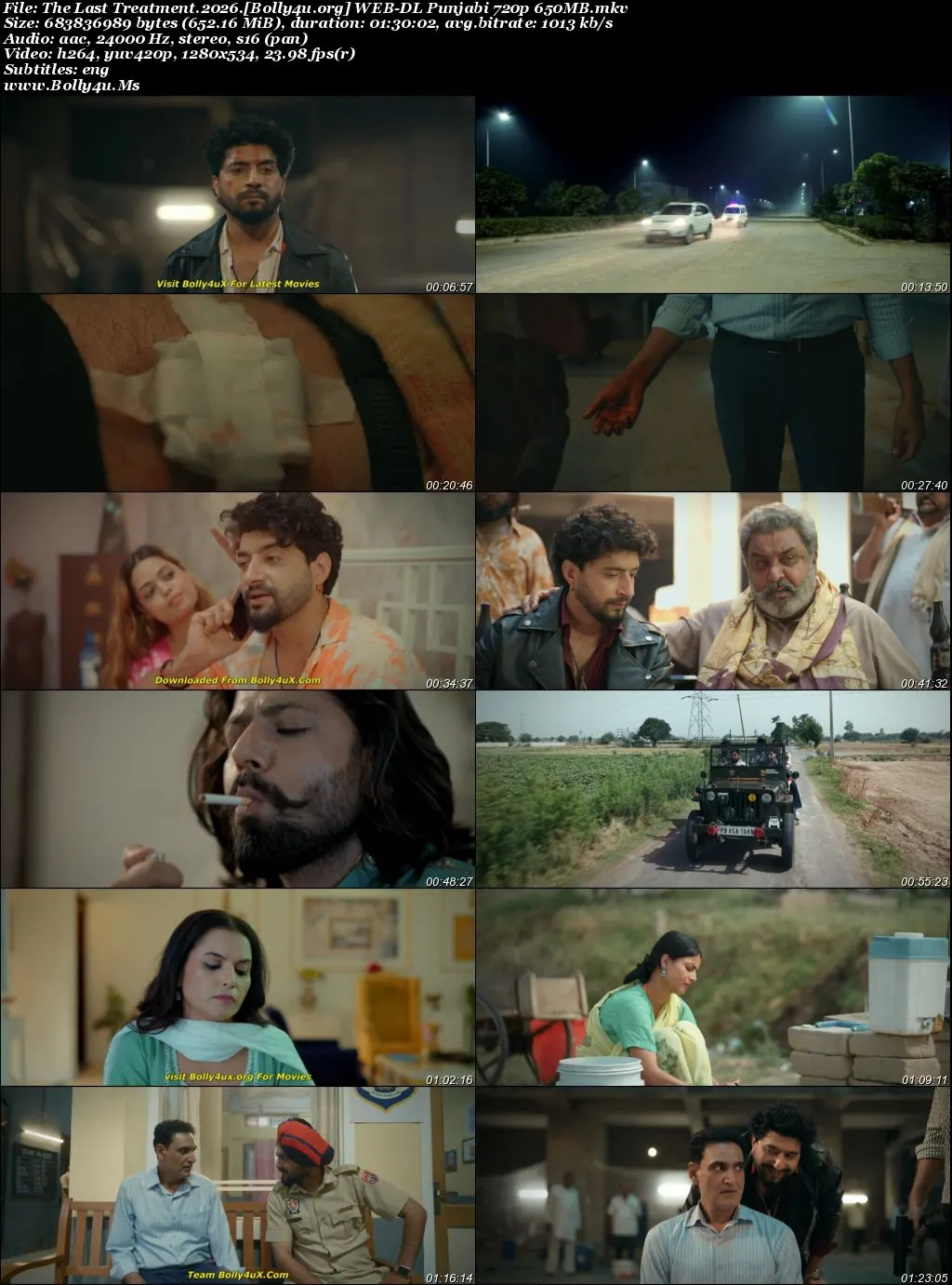 The Last Treatment 2026 WEB-DL Punjabi Full Movie Download 1080p  720p  480p