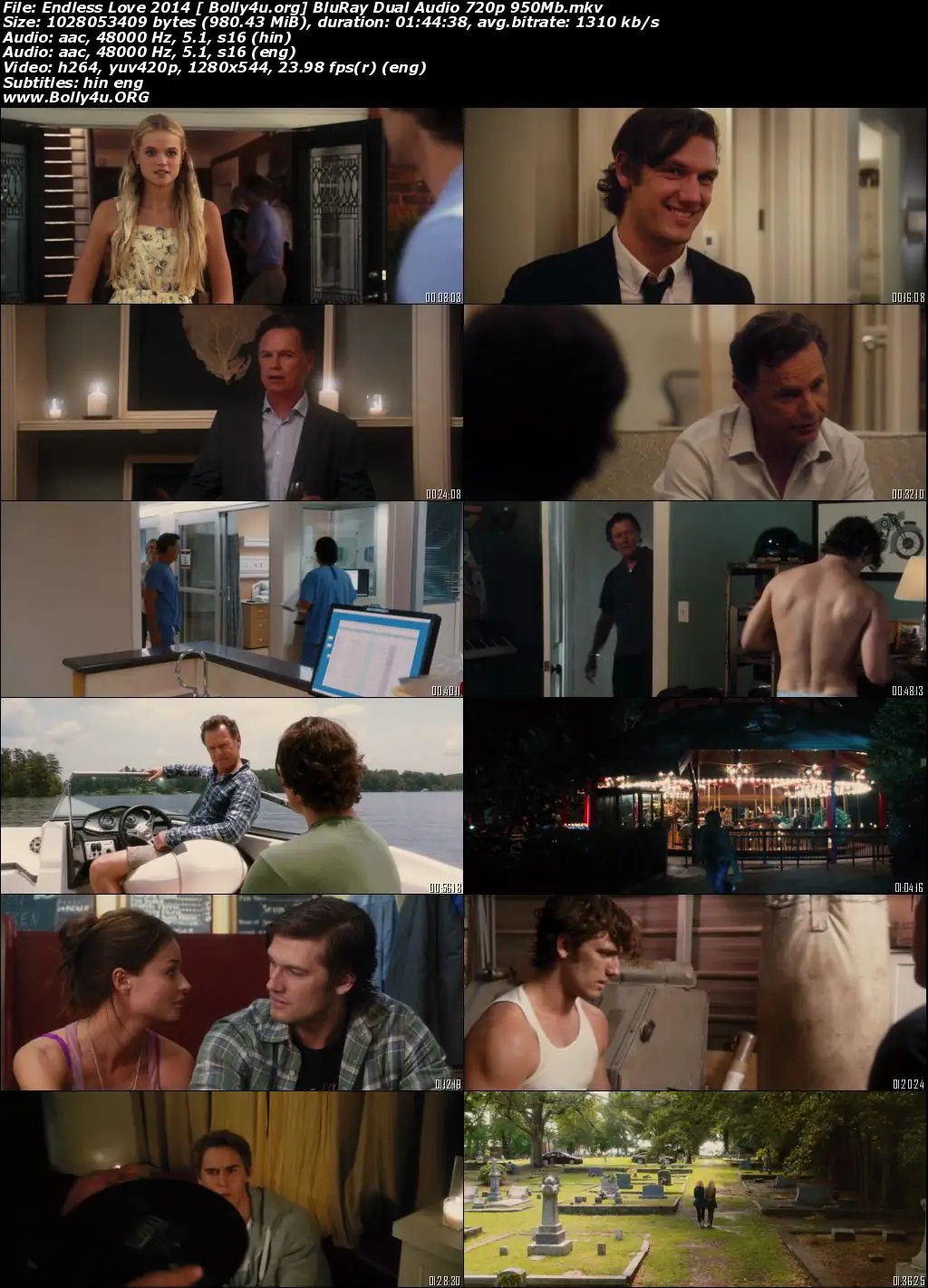 Endless Love 2014 BluRay 350MB Hindi Dual Audio 480p Download