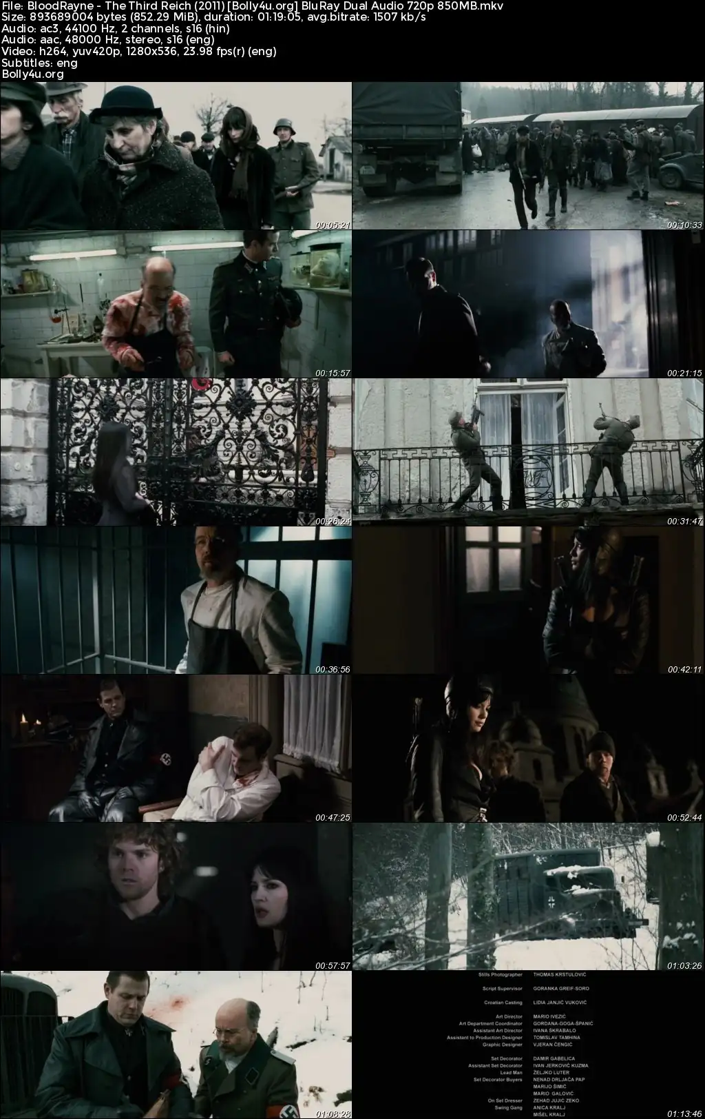 BloodRayne The Third Reich 2010 BluRay Hindi Dual Audio Full Movie Download 720p  480p