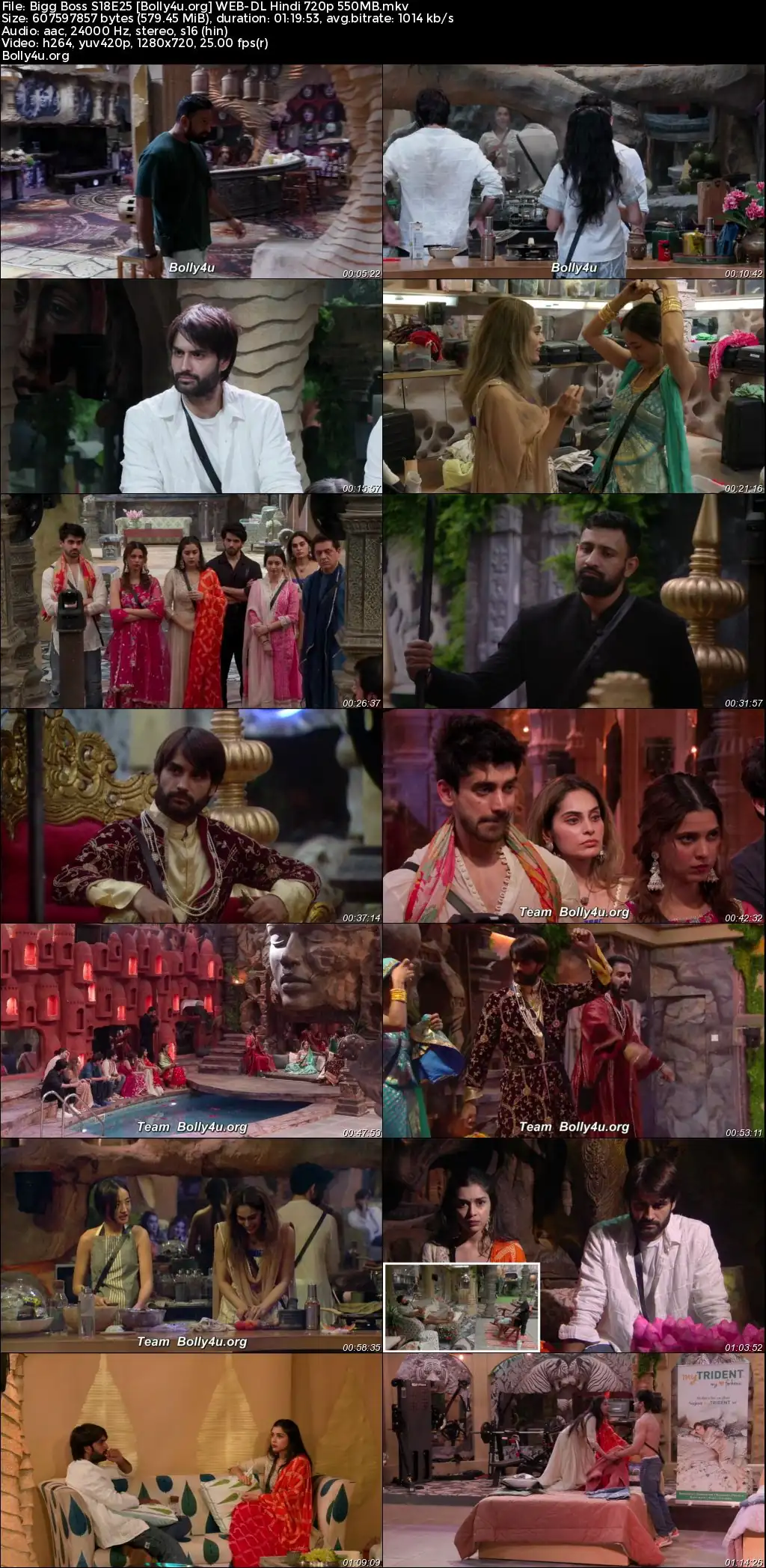 Bigg Boss 2024 WEB-DL Hindi S18E25 Download 720p  480p