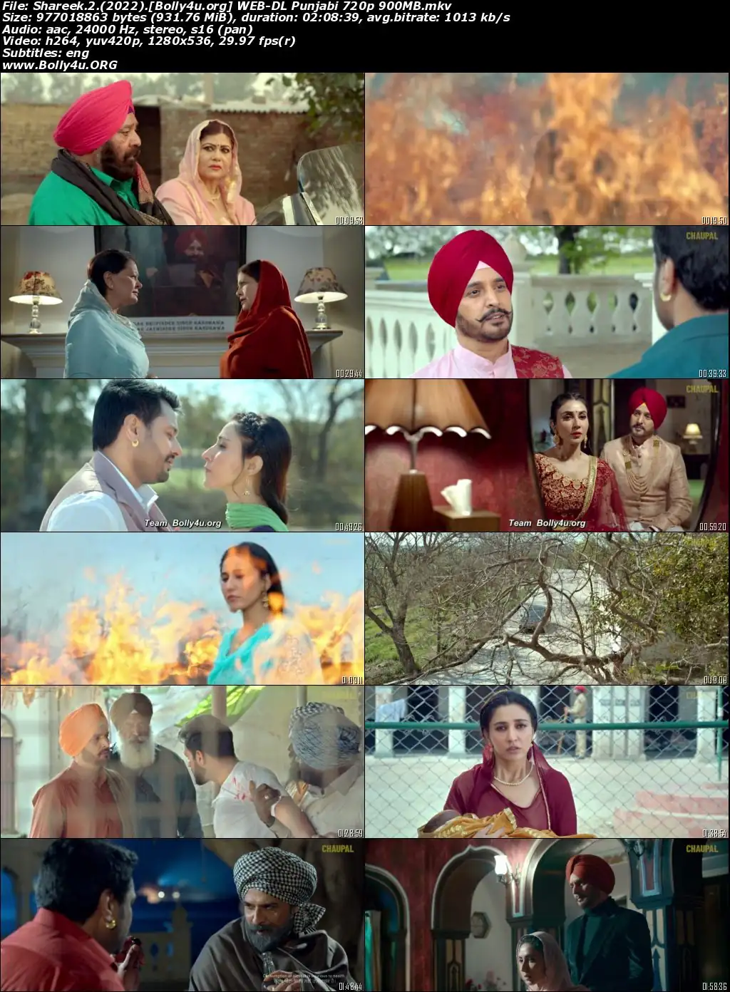 Shareek 2 2022 WEB-DL Punjabi Full Movie Download 1080p  720p  480p
