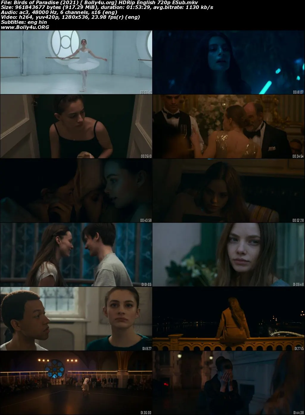 Birds of Paradise 2021 HDRip 900MB English 720p ESubs Download