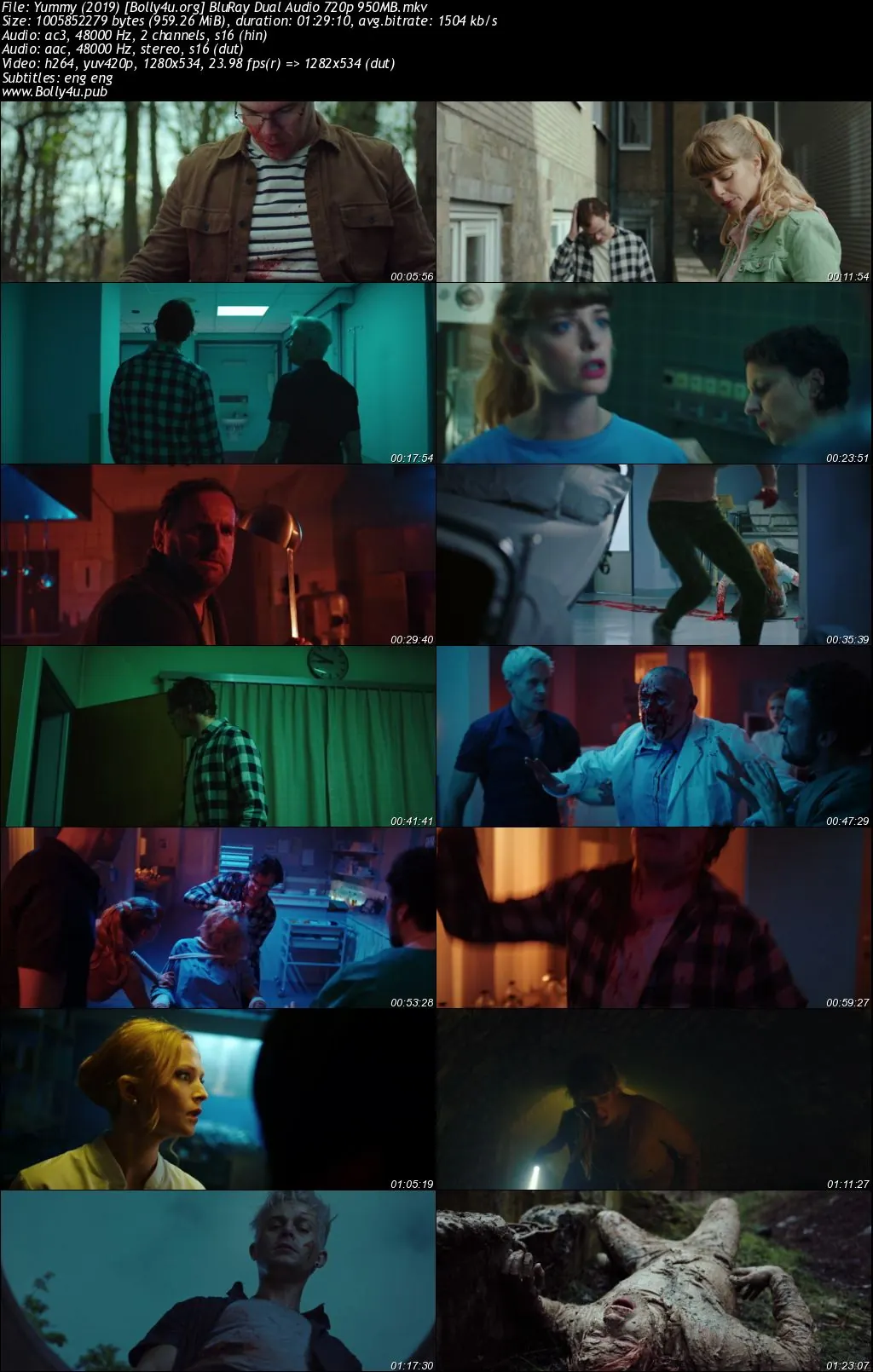 Yummy 2019 BluRay Hindi Dual Audio Full Movie Download 720p  480p