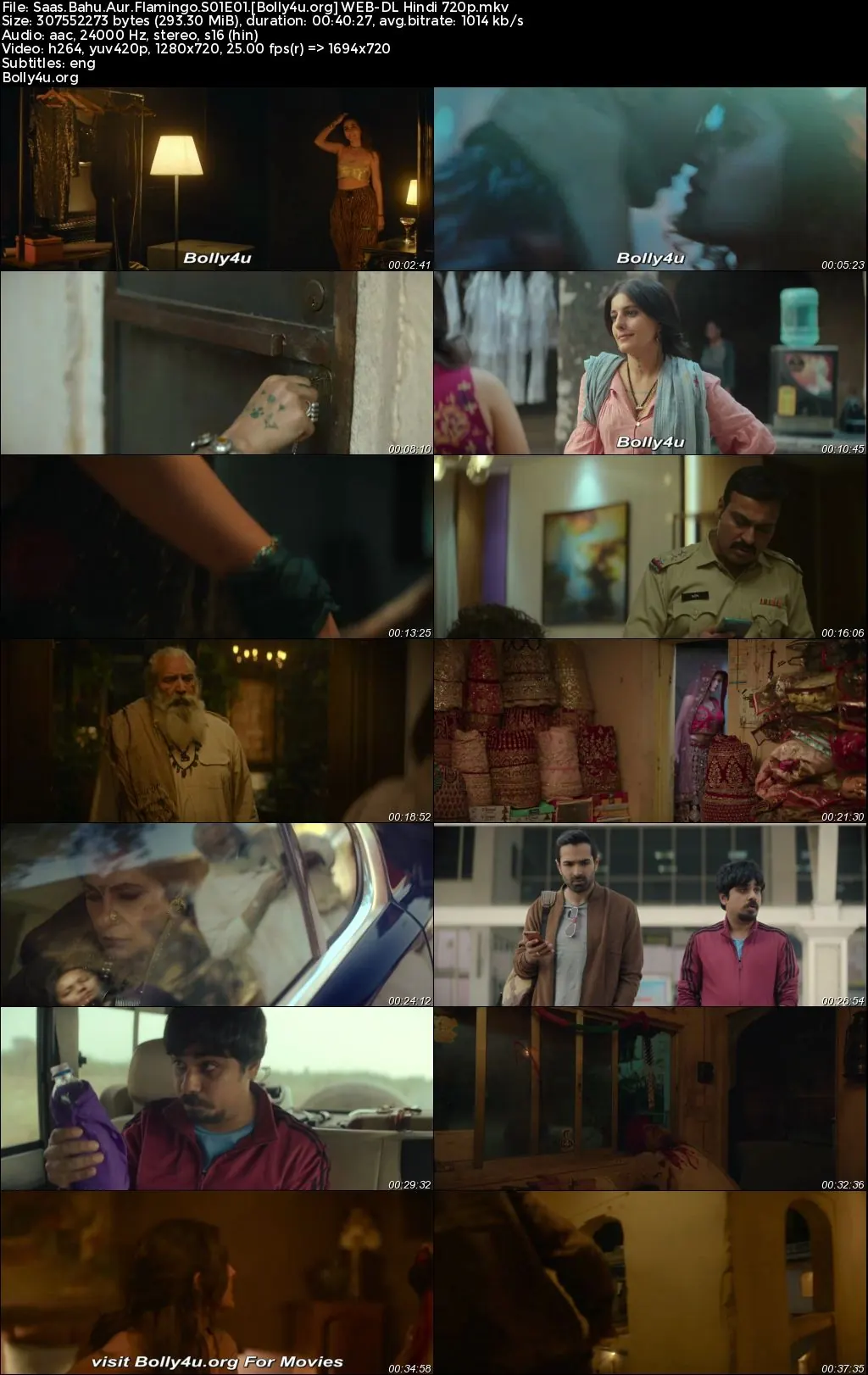 Saas Bahu Aur Flamingo 2023 WEB-DL Hindi S01 Complete Download 720p  480p
