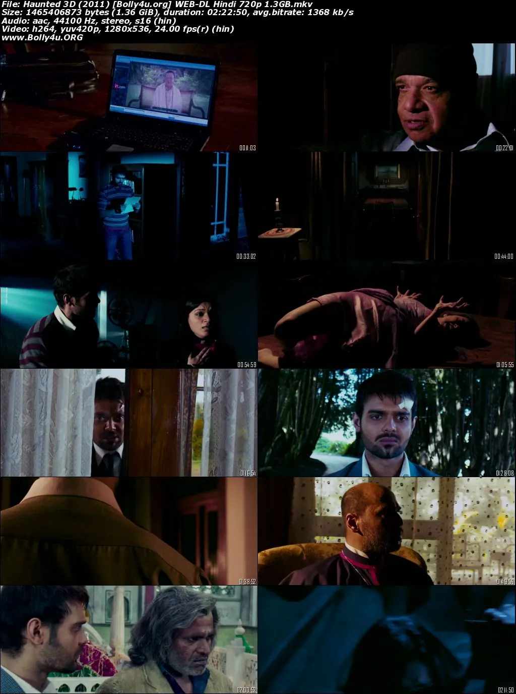 Haunted 3D 2011 WEB-DL Hindi Full Movie Download 720p  480p
