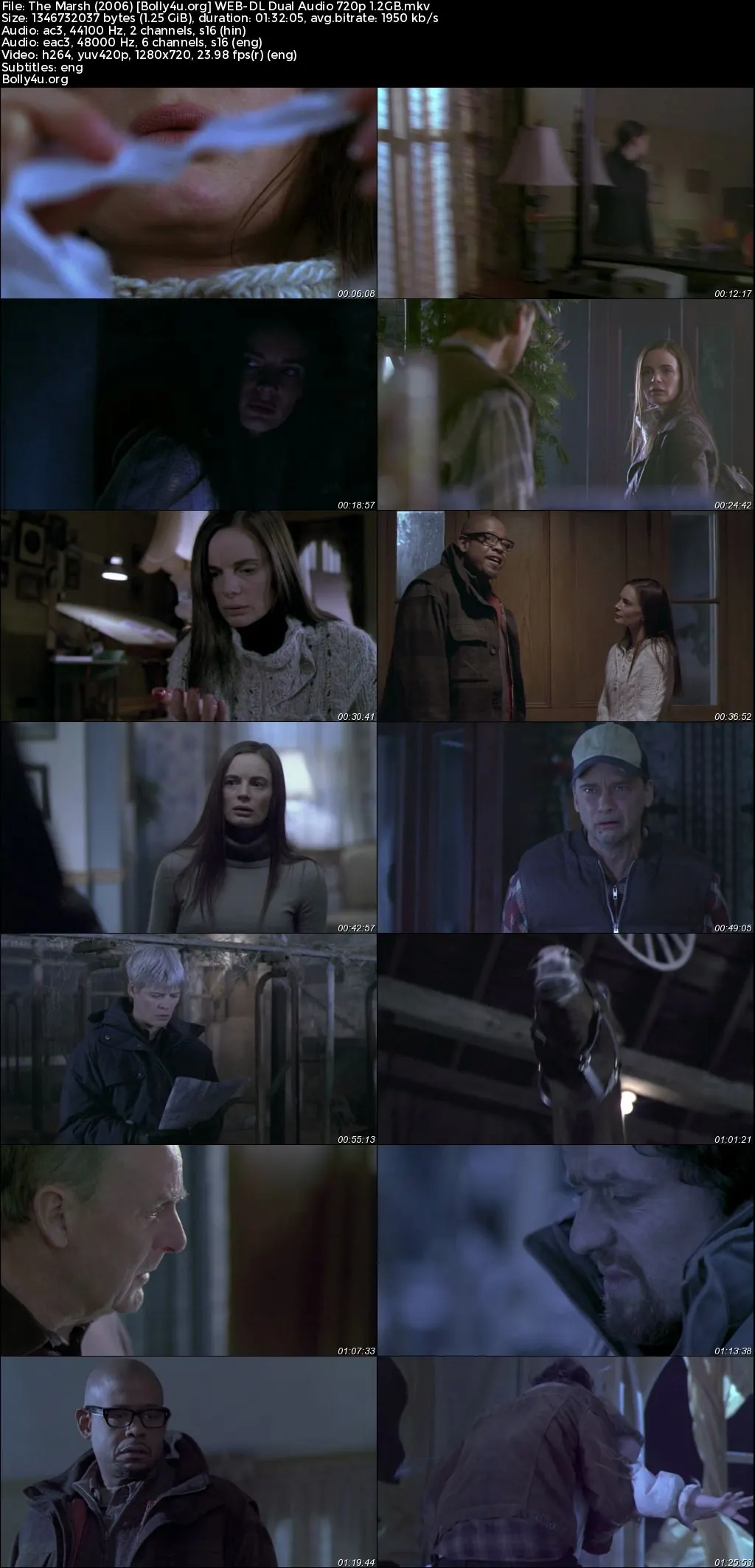 The Marsh 2006 WEB-DL Hindi Dual Audio Full Movie Download 720p  480p