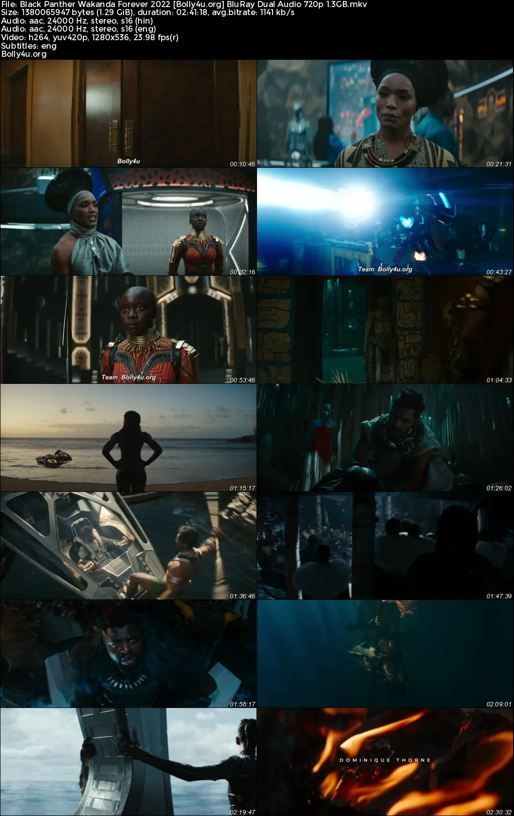 Black Panther Wakanda Forever 2022 BluRay Hindi Dual Audio ORG Full Movie Download 1080p  720p  480p