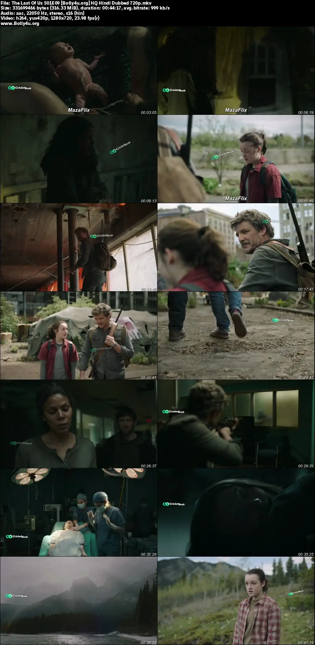 The Last of Us 2023 WEB-DL Hindi HQ Dubbed S01 Complete Download 720p