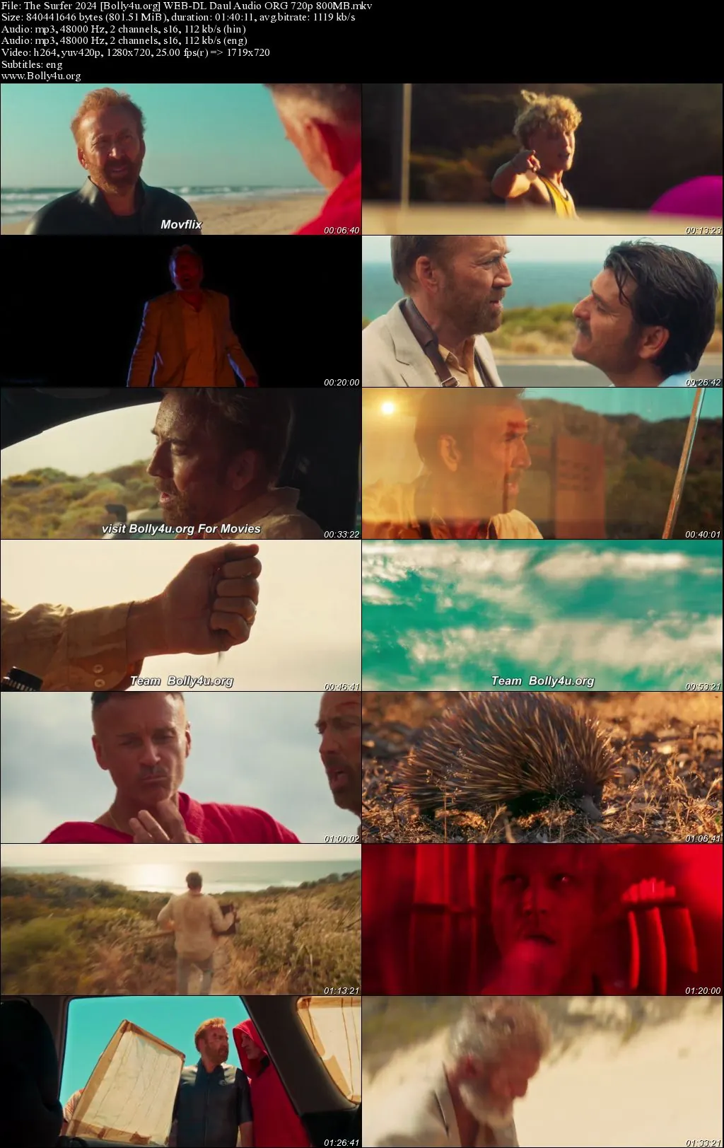 The Surfer 2024 WEB-DL Hindi Dual Audio ORG Full Movie Download 1080p  720p  480p