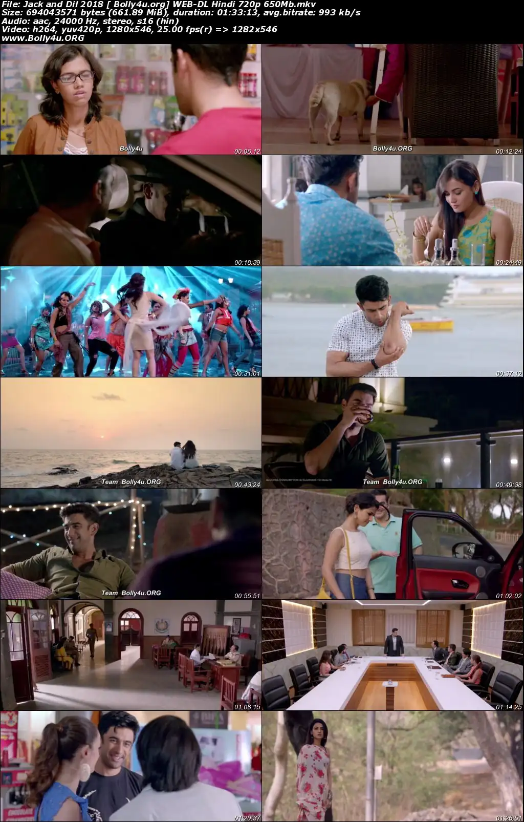 Jack and Dil 2018 WEB-DL 300MB Hindi 480p Download