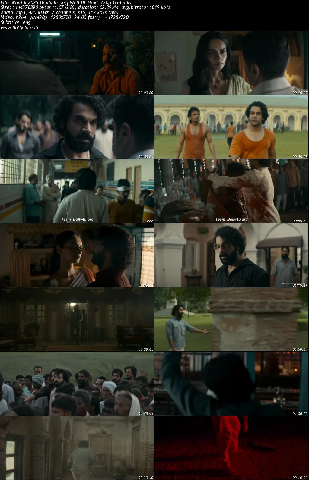 Maalik 2025 WEB-DL Hindi Full Movie Download 1080p  720p  480p