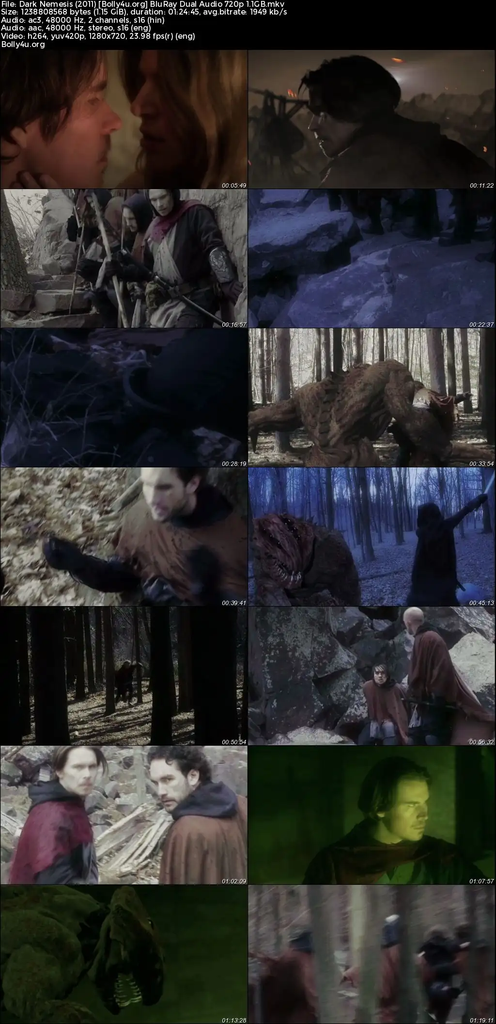 Dark Nemesis 2011 BluRay Hindi Dual Audio Download 720p  480p
