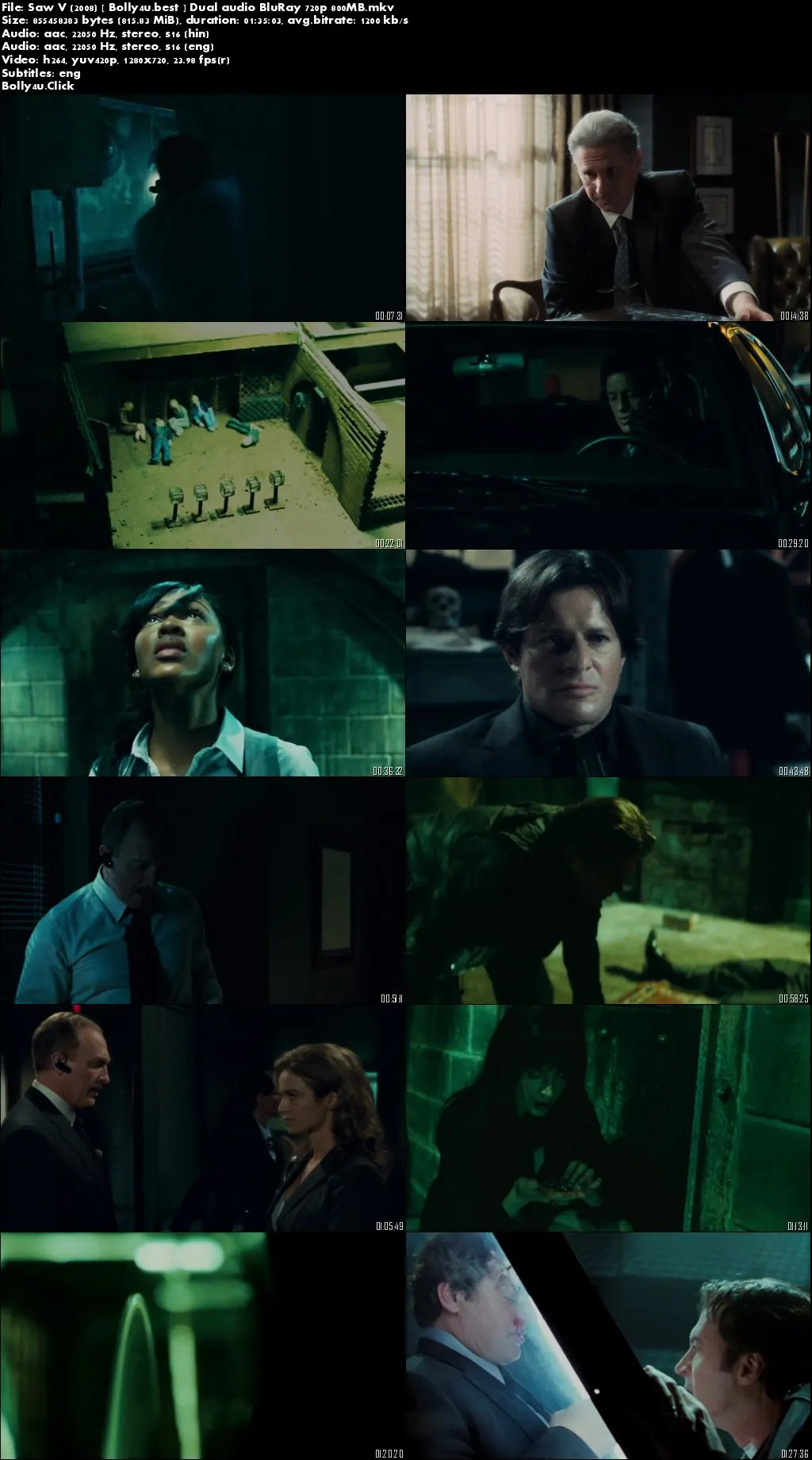 Saw V 2008 BluRay 800MB Hindi Dual Audio 720p Download