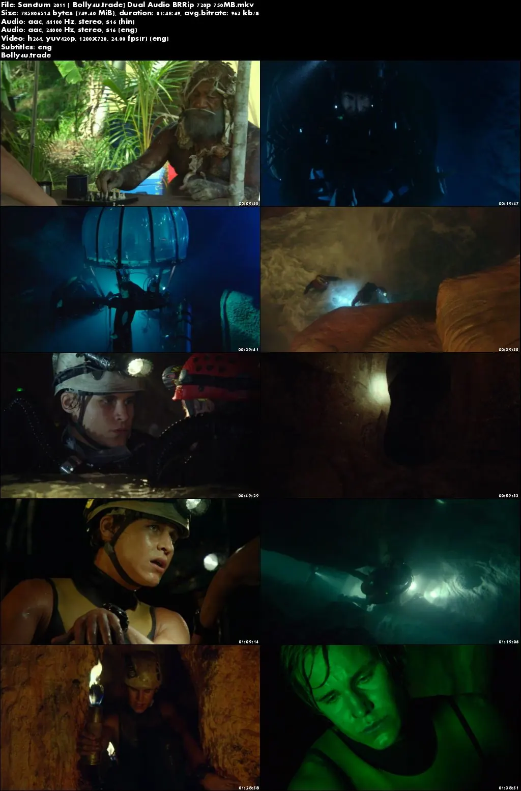 Sanctum 2011 BRRip 750MB Hindi Dual Audio 720p Download