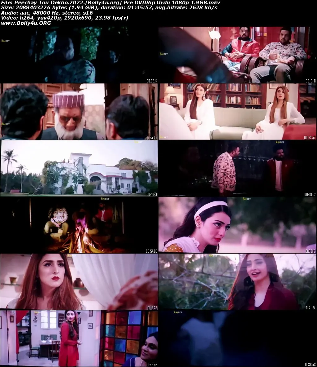 Peechay Tou Dekho 2022 Pre DVDRip Urdu Movie Download