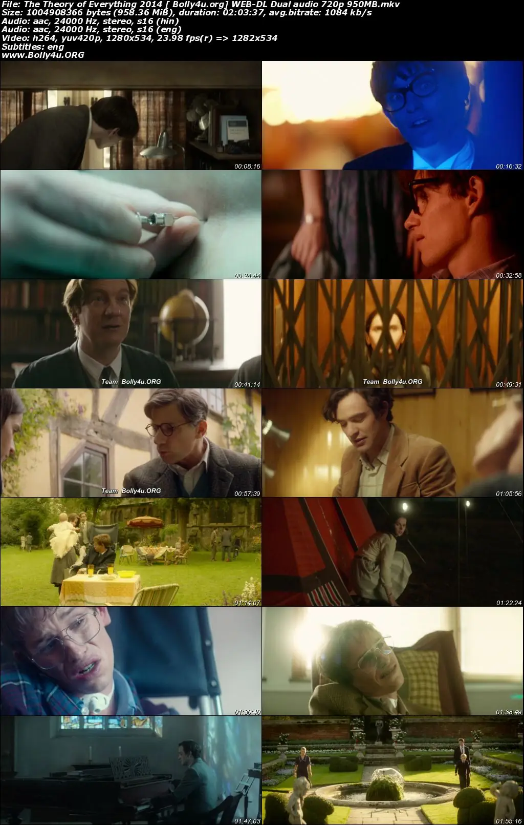 The Theory of Everything 2014 WEB-DL 950Mb Hindi Dual Audio 720p Download