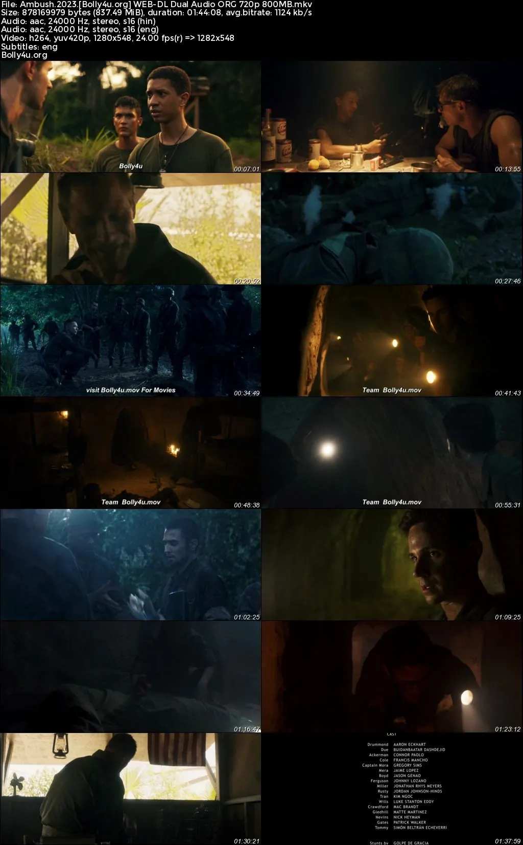 Ambush 2023 WEB-DL Hindi Dual Audio ORG Full Movie Download 1080p  720p  480p