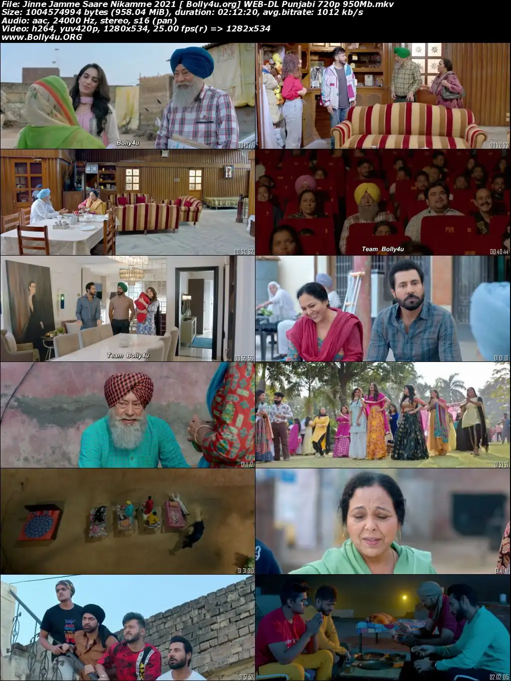 Jinne Jamme Saare Nikamme 2021 WEB-DL 400MB Punjabi Movie Download 480p