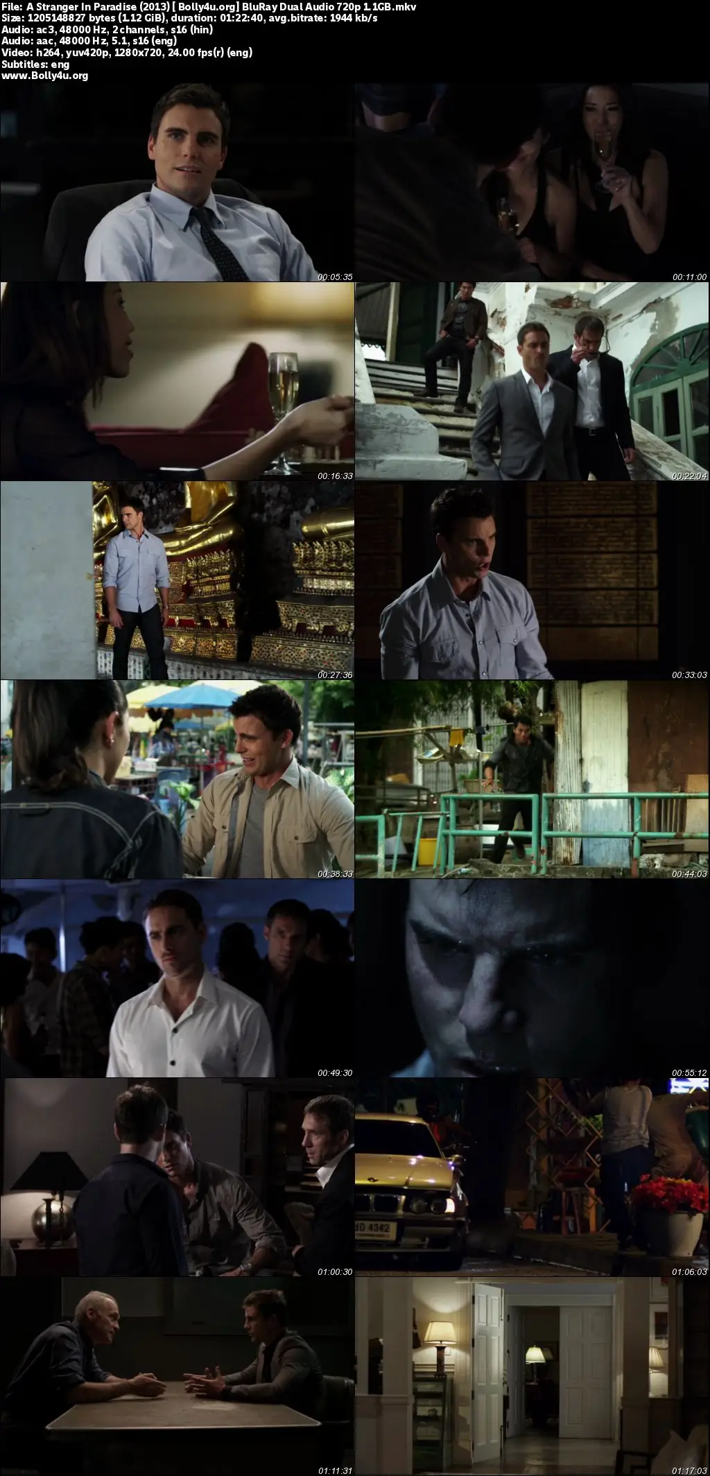 A Stranger In Paradise 2013 BluRay Hindi Dual Audio Full Movie Download 720p  480p