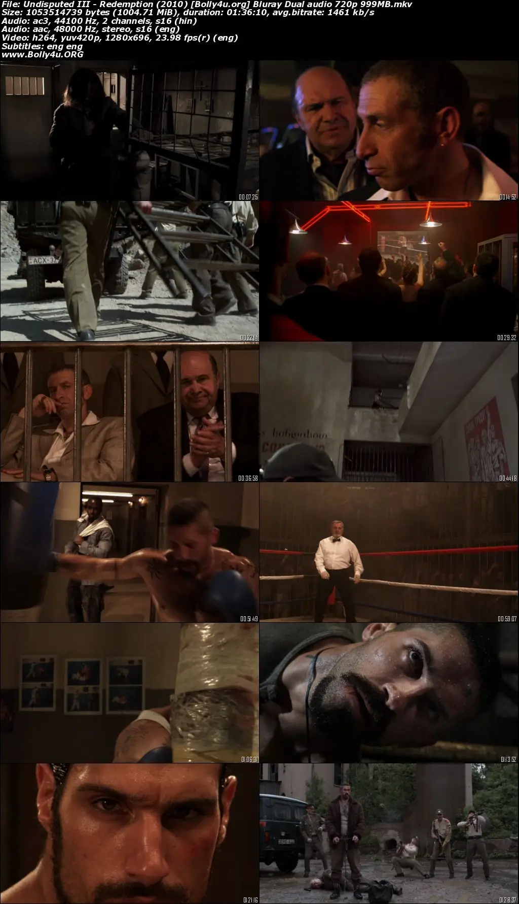 Undisputed III Redemption 2010 BluRay Hindi Dual Audio Full Movie Download 720p  480p