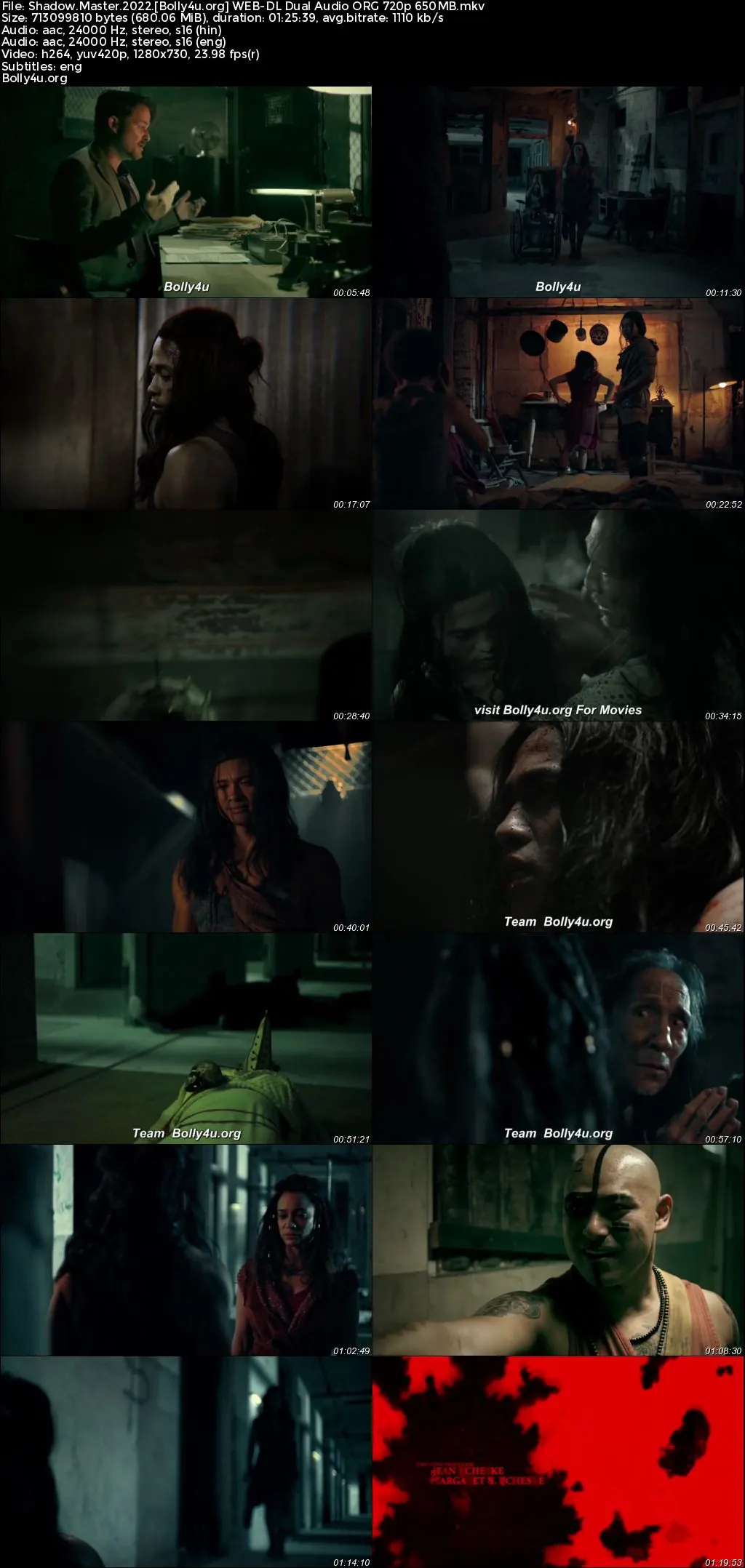 Shadow Master 2022 WEB-DL Hindi Dual Audio ORG Full Movie Download 1080p  720p  480p