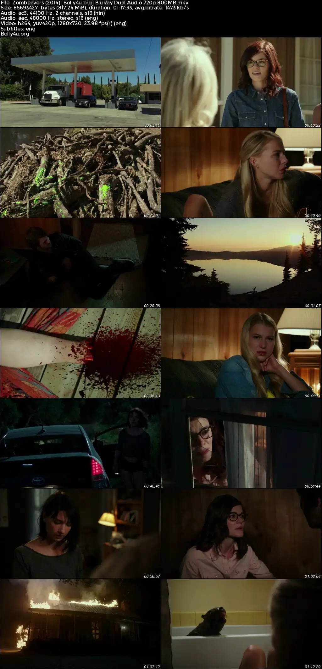 Zombeavers 2014 BluRay Hindi Dual Audio Full Movie Download 720p  480p