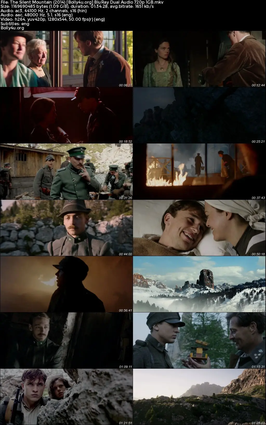 The Silent Mountain 2014 BluRay Hindi Dual Audio Full Movie Download 720p  480p