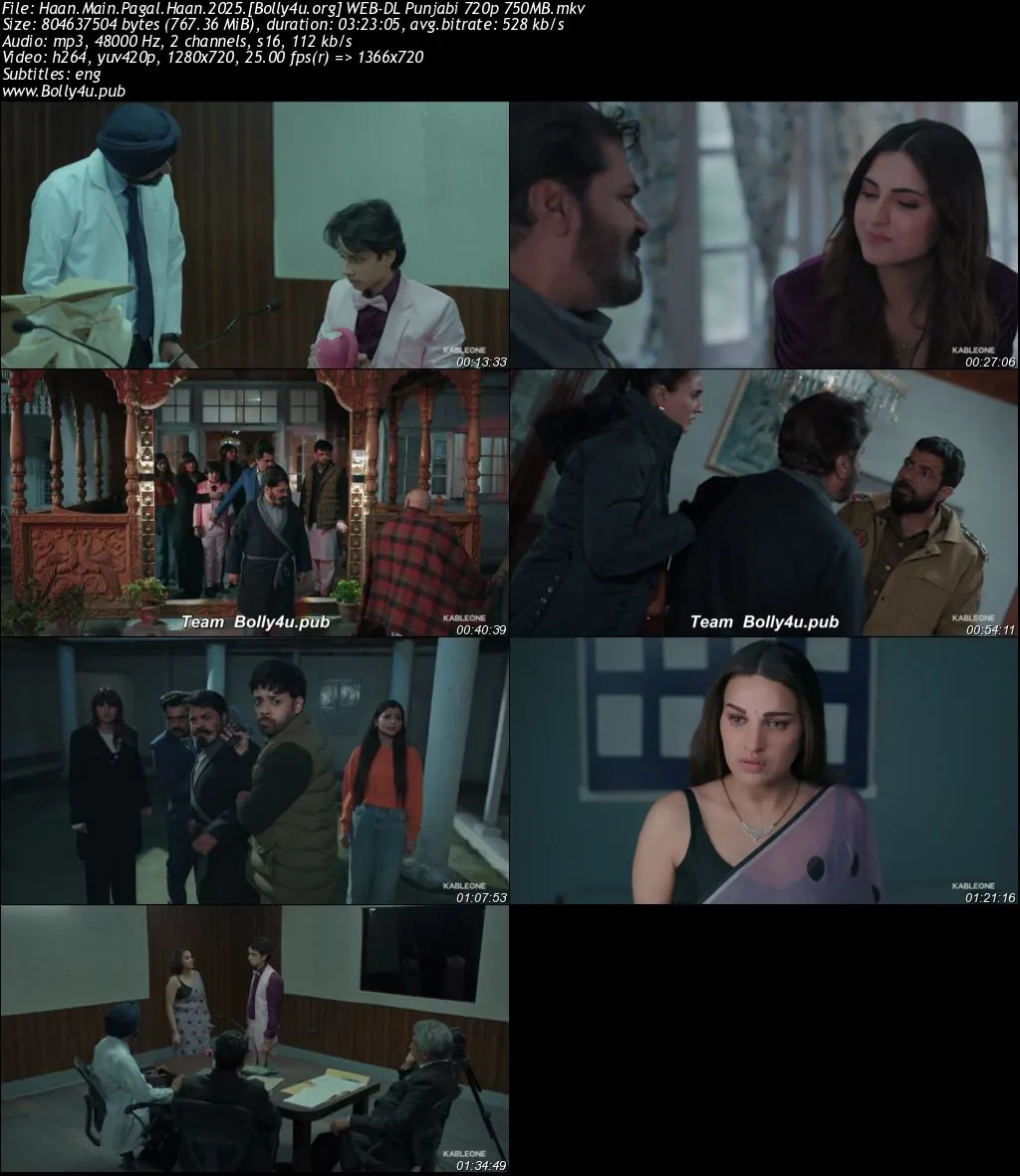 Haan Main Pagal Haan 2025 WEB-DL Punjabi Full Movie Download 1080p  720p  480p