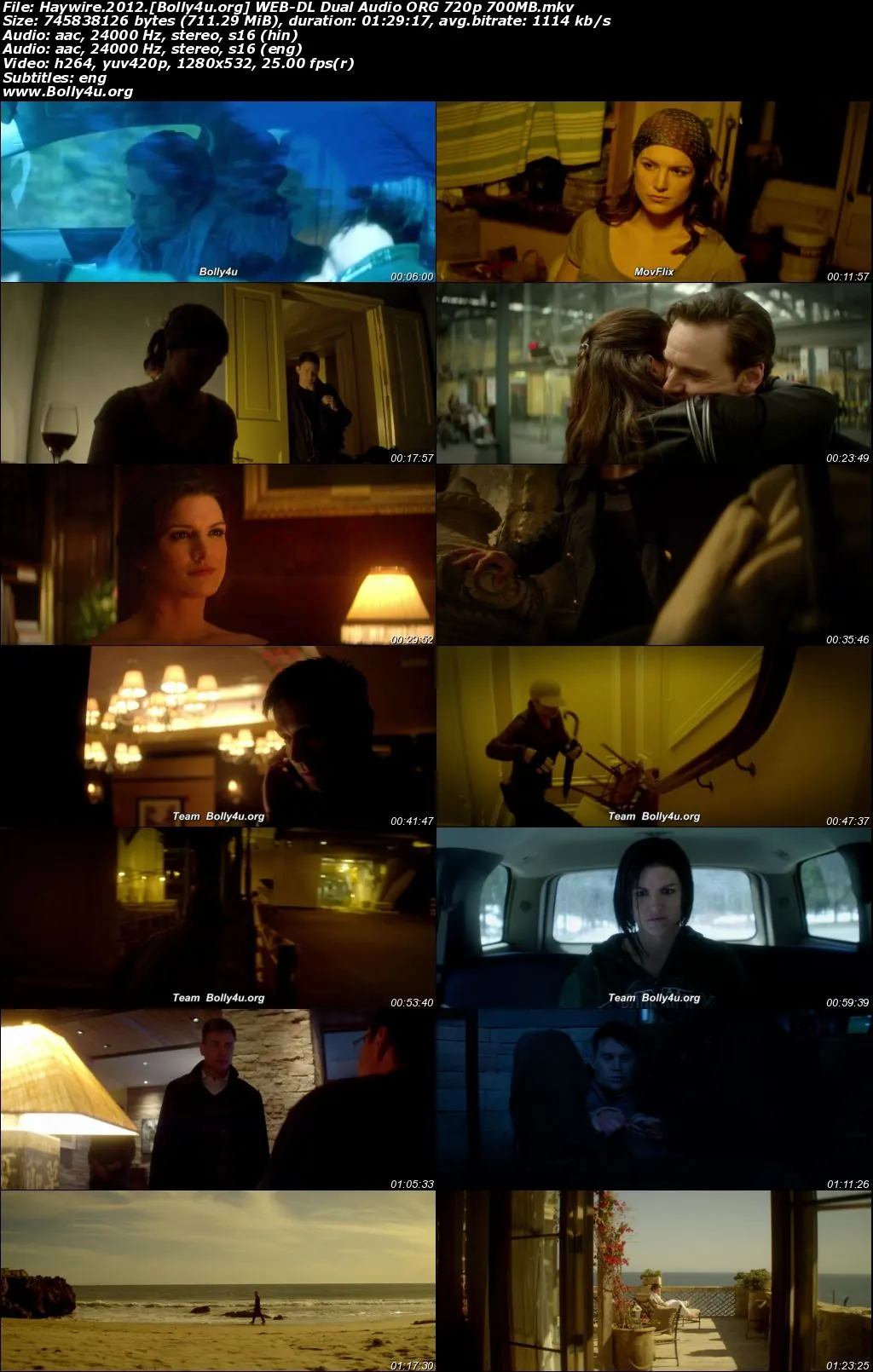 Haywire 2012 WEB-DL Hindi Dual Audio ORG Full Movie Download 1080p  720p  480p