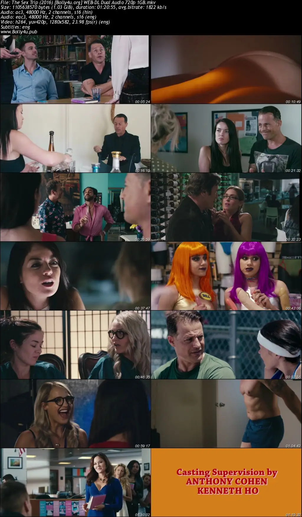 The Sex Trip 2016 WEB-DL Hindi Dual Audio Full Movie Download 720p  480p