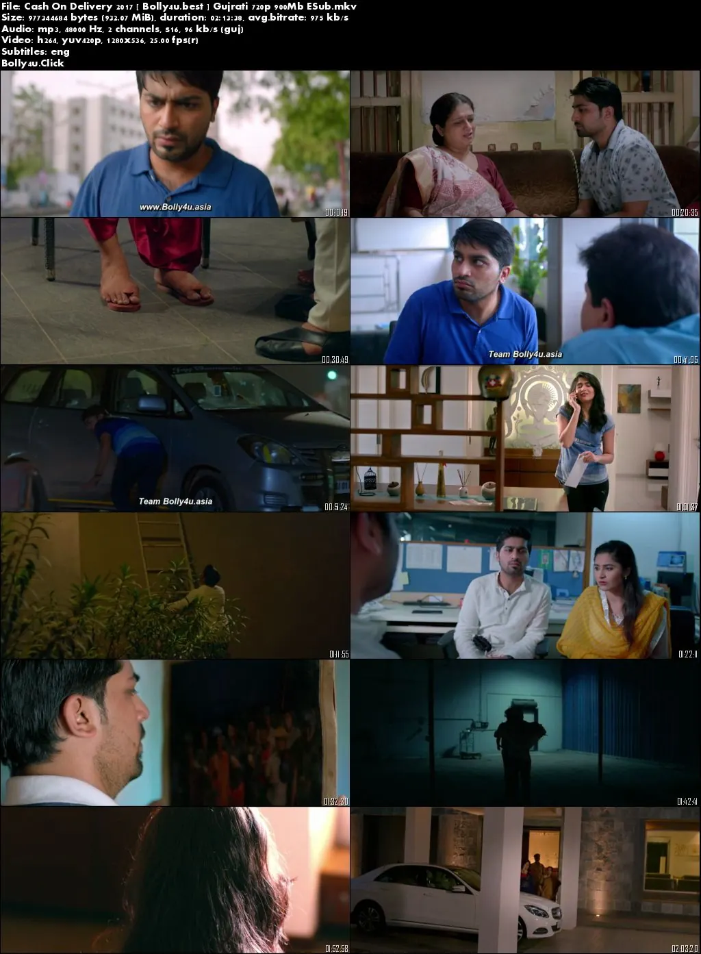 Cash On Delivery 2017 WEB-DL 300Mb Gujrati 480p ESub Download