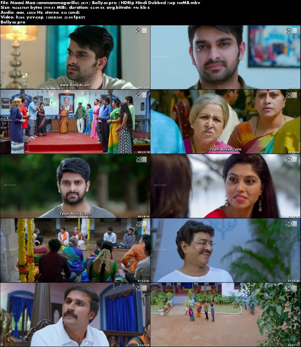 Naani Maa 2019 HDRip 350MB Hindi Dubbed 480p Download