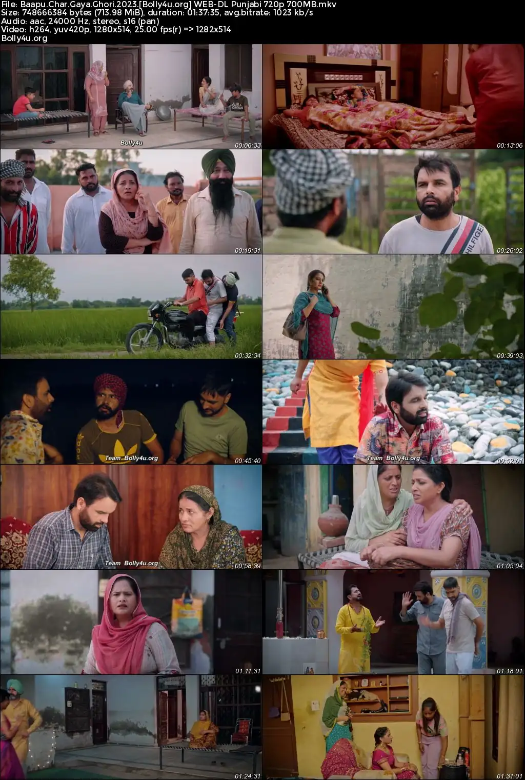 Baapu Chad Gaya Ghori 2023 WEB-DL Punjabi Full Movie Download 1080p  720p  480p